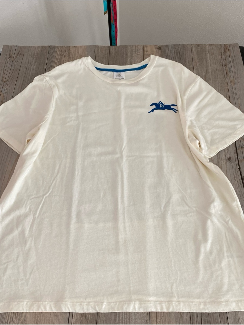 Disney Mens Saratoga Springs Resort And Spa Ivory T Shirt XL